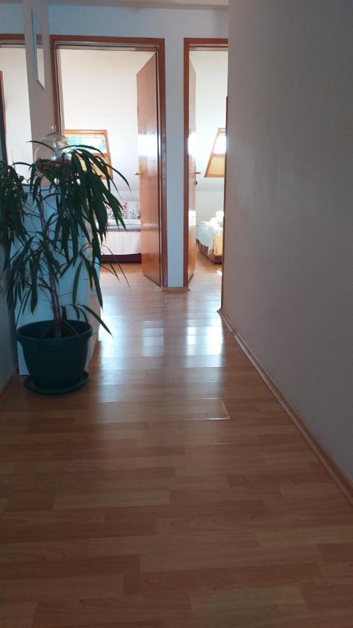 Apartmani "Zuka" コルチュラ エクステリア 写真